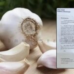 Illegal Garlic Imports from China via Nepal Under Scrutiny, MP Suresh Kashyap Informed
