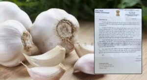 Chinese-Garlic-Photoroom