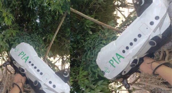 PAK-2-Photoroom