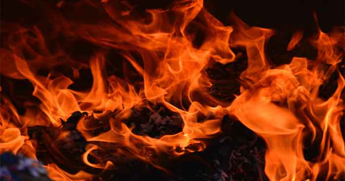 fire-1 (2)