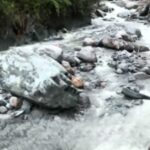 Dharamshala: One More Body Recovered from Manuni Khad, One Rescued Safely — Five Still Missing