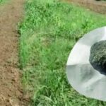 Meteorite Evidence Found in Himachal: Rare Tektites Unearthed, Stir Scientific Interest