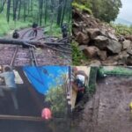 Torrential Rain Wreaks Havoc in Himachal: Landslides and Uprooted Trees Disrupt Life in Shimla