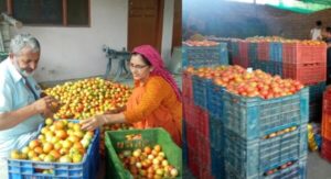shimla-1-6 (2)-Photoroom