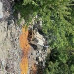 Alto Car Plunges Into Gorge in Pooh, Kinnaur — 27-Year-Old from Shimla Died, Another Injured