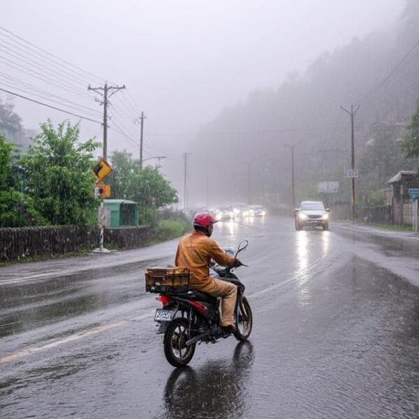 402 Roads Shut in Himachal Amid Heavy Rains; Power and Water Supply Disrupted