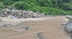 MANDI- (1)-Photoroom