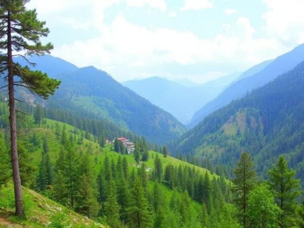 Ecological Imbalance: Himachal Pradesh Government Acknowledges Gaps, Seeks Six Months from Supreme Court to Prepare Roadmap