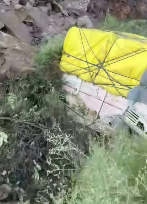 Himachal Pradesh Monsoon Death Toll Rises to 366, Losses Cross ₹4,000 Crore: Officials
