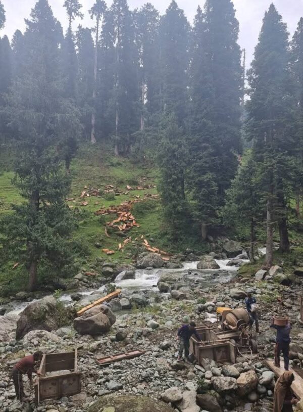 Environmentalists Urge Chief Minister to Review State’s Environmental Policy