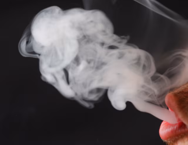 Exclusive: FDA Nicotine Pouch Pilot to Ease Research Burden on Manufacturers, Transcript Shows