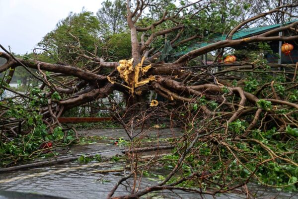 Typhoon Bualoi Leaves Two Dead, 17 Missing in Vietnam