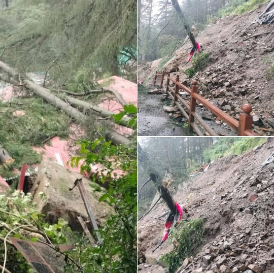 Heavy Rain in Himachal Pradesh: 1,364 Roads Closed, 5 National Highways BlockedYellow Alert Issued for Four Districts