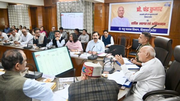 New Scheme Announced to Empower Shepherds and Boost Livestock Sector