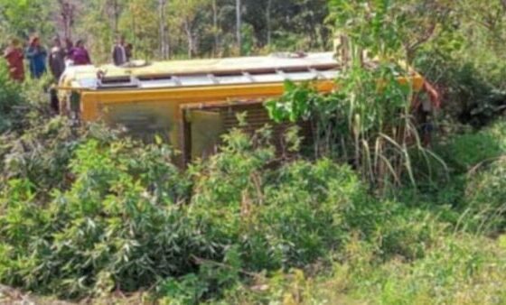 15 Injured as Bus Plunges Into Gorge Near Solan