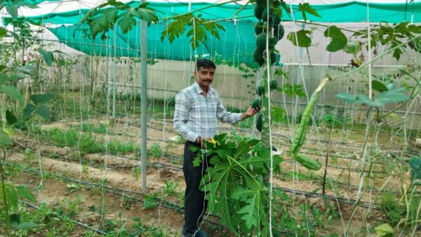 From Circuit to Soil: Shakti Dev’s Journey into Sustainable Farming