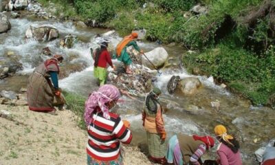 Garbage Left by Tourists and Trekkers in the Dhauladhars Poses a Growing Ecological Threat