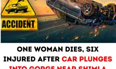 One Woman Killed, Six Injured as Car Falls Into Gorge Near Shimla