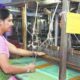 Himachal Women Driving Growth: State Outperforms Neighbours in Jobs & Economic Participation