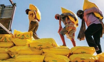 Middle East Conflict Disrupts Fertiliser Supply in Himachal, Himfed Begins Rationing Amid Rising Demand