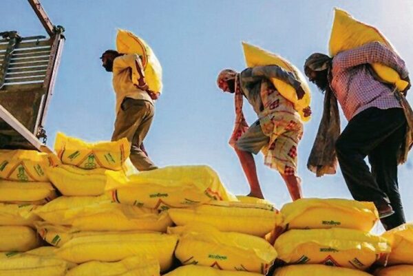 Middle East Conflict Disrupts Fertiliser Supply in Himachal, Himfed Begins Rationing Amid Rising Demand