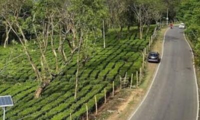 Big Boost for Himachal: Palampur–Dharamsala Road to Get Major Upgrade with World Bank Support