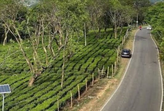 Big Boost for Himachal: Palampur–Dharamsala Road to Get Major Upgrade with World Bank Support