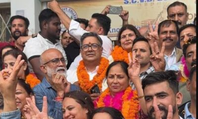 Ashish Butail Leads Congress to Sole Civic Poll Victory in Himachal, Palampur Win Sparks Cabinet Buzz