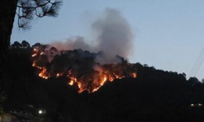 Kasauli Forest Fires Trigger Panic as Heatwave Pushes Temperatures to 32°C, Multiple Blazes Reported