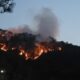 Kasauli Forest Fires Trigger Panic as Heatwave Pushes Temperatures to 32°C, Multiple Blazes Reported