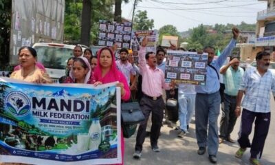 Himachal Dairy Farmers Protest Over Milk Procurement Limits and Delayed Payments