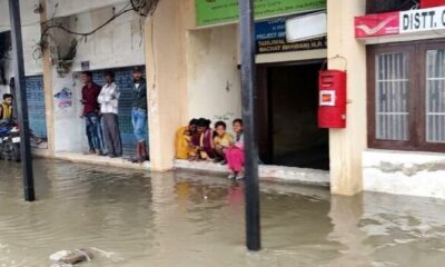 Heavy Rain Batters Himachal's Una, Floods Roads, Uproots Trees and Disrupts Power Supply